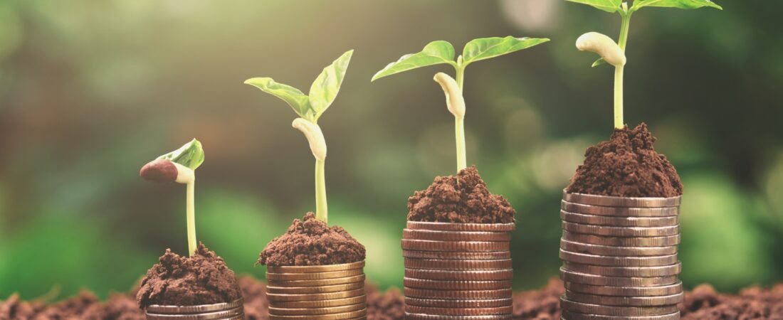 Green Financing dan Pembiayaan Proyek EBT : Untung Rugi Green Financing buat Transisi Energi
