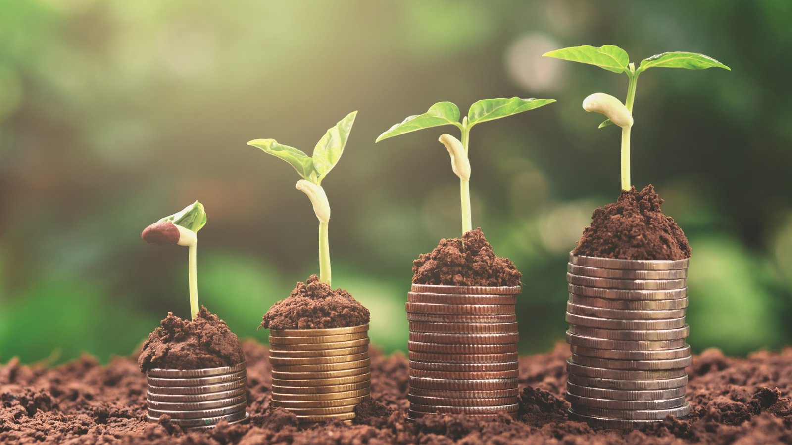 Green Financing dan Pembiayaan Proyek EBT : Untung Rugi Green Financing buat Transisi Energi
